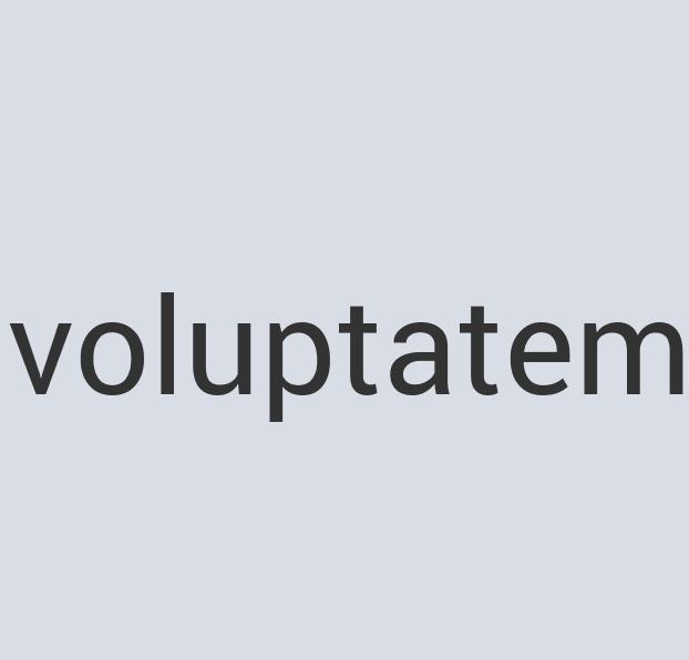 Fantastic Wool The Chickery