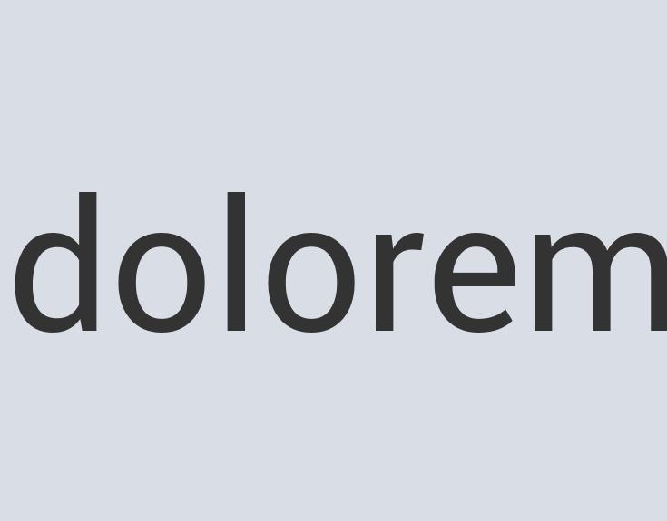 Durable Paper Flying Tortoise