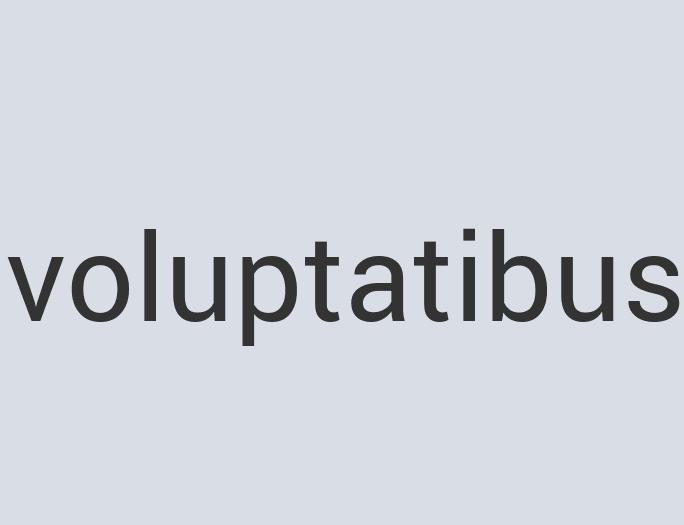 Fantastic Silk Steering Wheel