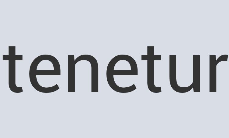 Ergonomic Iron Alumiscape